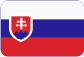 DLZ Slovensky